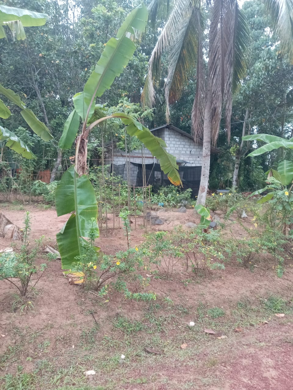 WhatsApp-Image-2026-02-26-at-2.17.51-PM