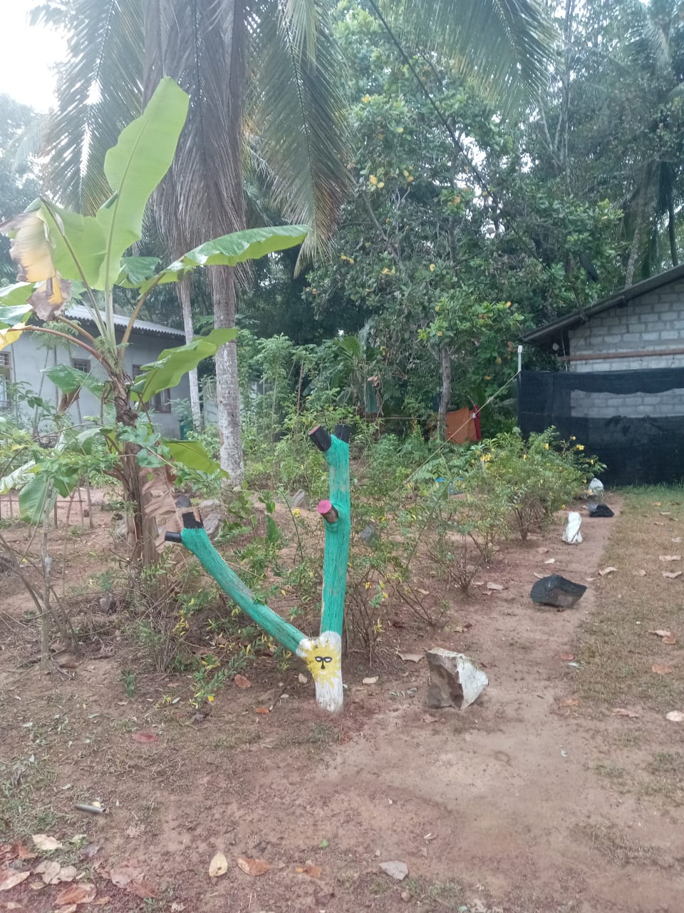 WhatsApp-Image-2026-02-26-at-2.17.54-PM-1