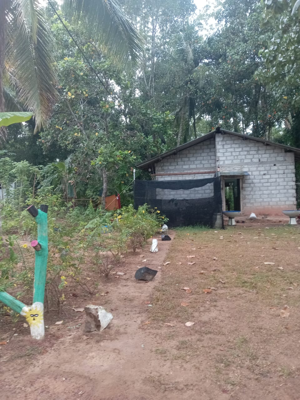 WhatsApp-Image-2026-02-26-at-2.17.54-PM