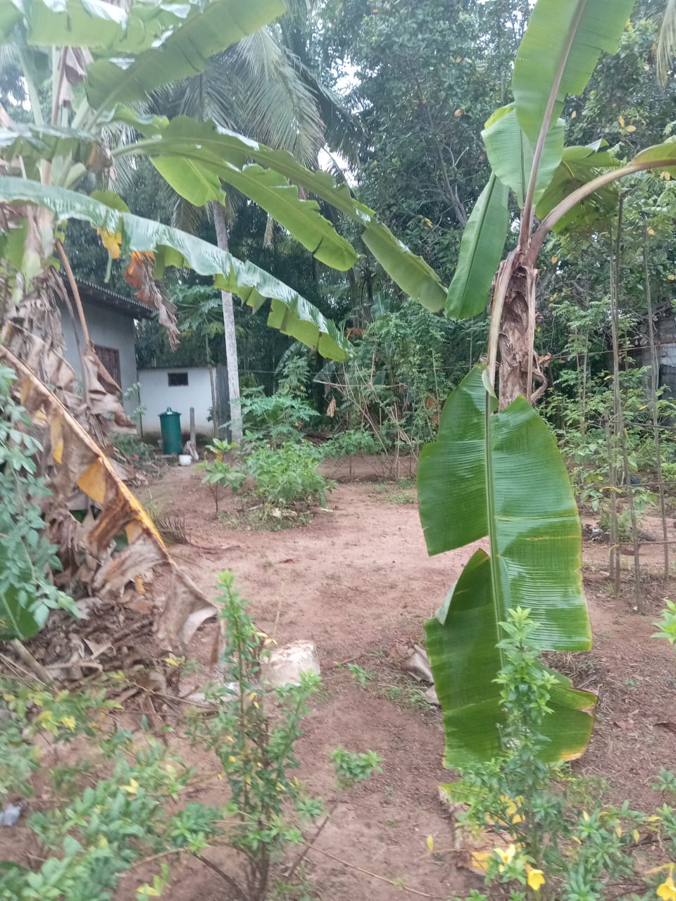 WhatsApp-Image-2026-02-26-at-2.17.55-PM